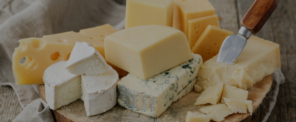 Bulk Cheese Wholesale | Surplus Cheese | Buy Cheese Ingredients