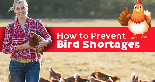 How to Prevent Bird Shortages
