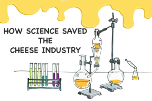 Cheese fact: Science