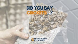 Cricket Flour Alt Ingredient Exchange Surplus Ingredient Company Blog Post
