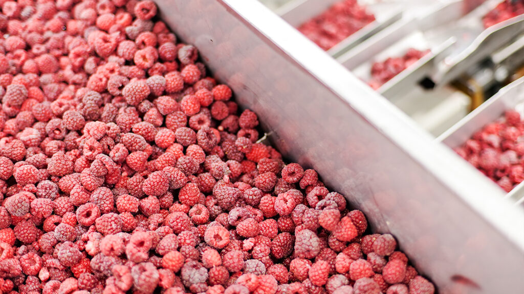 raspberries in a warehouse