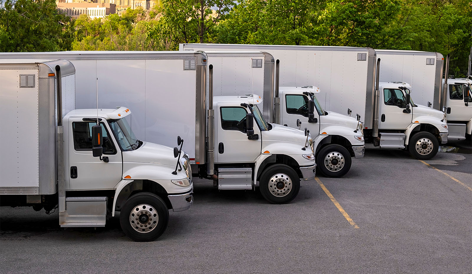 5 white trucks